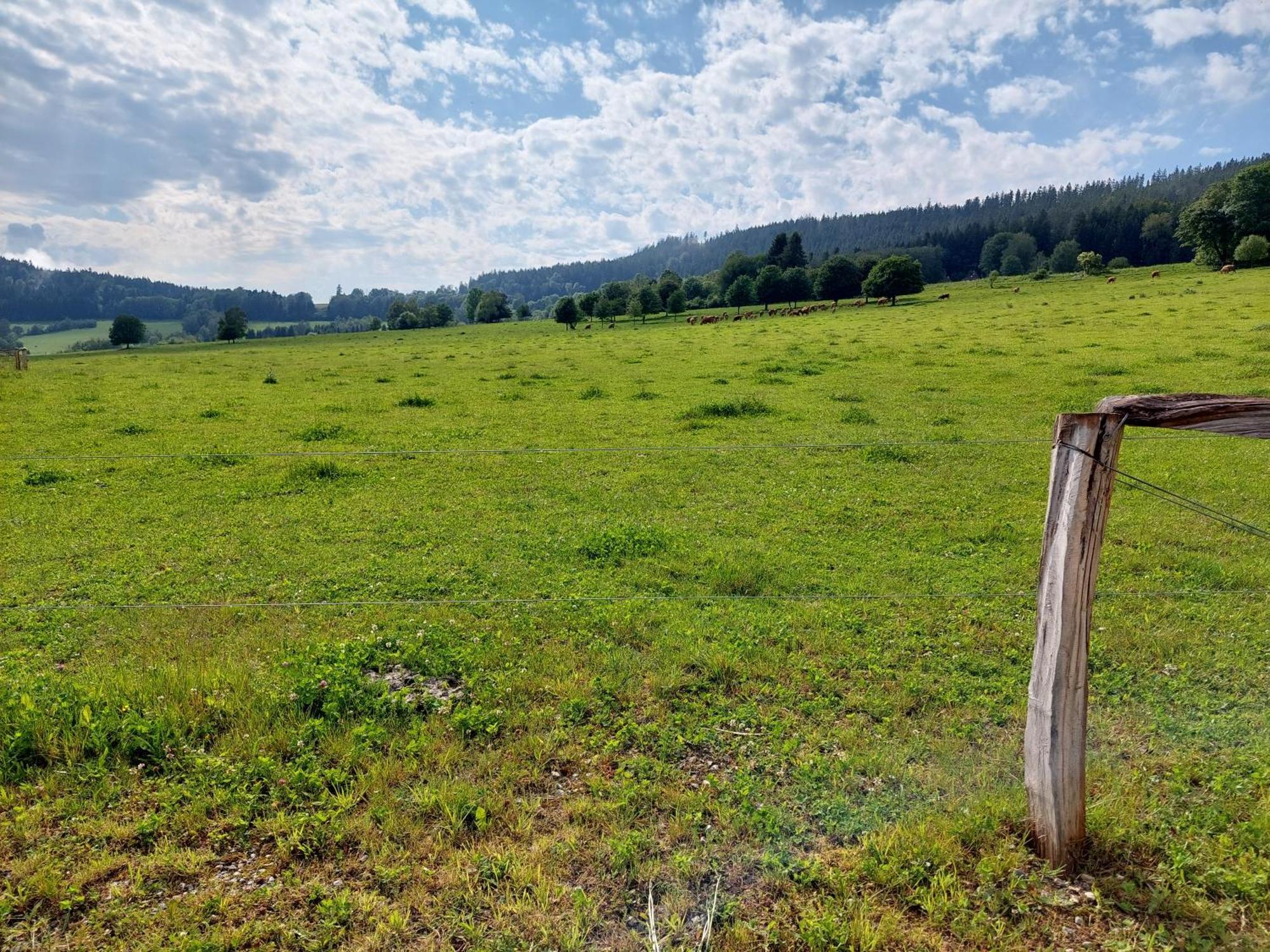 Penzion Slupecna Lipno nad Vltavou Exteriör bild