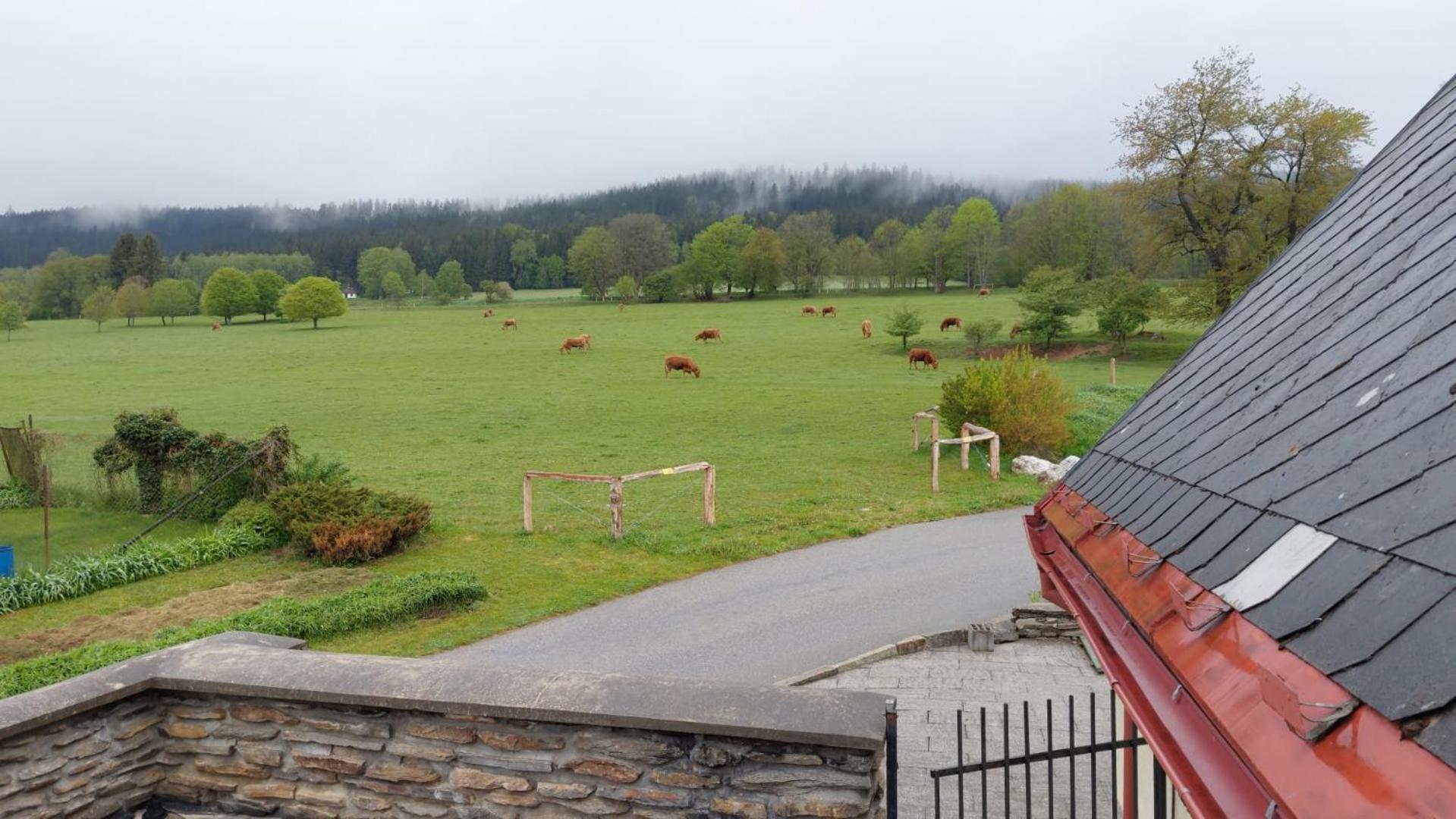 Penzion Slupecna Lipno nad Vltavou Exteriör bild